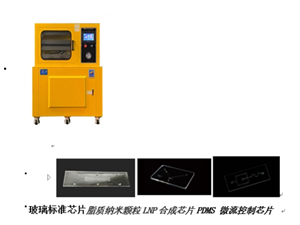 PVDF-300型桌式壓電薄膜極化(huà)裝置